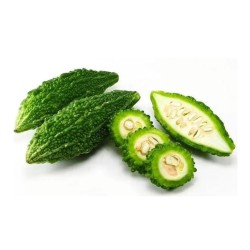 Bitter gourd