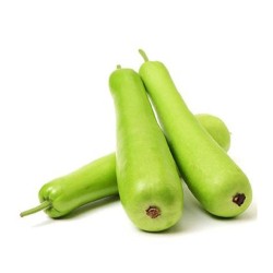 Bottle gourd
