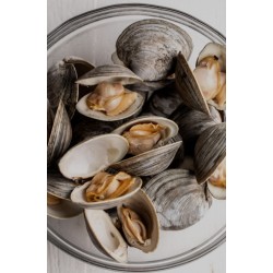 Clam meat (cooked) Clam meat (cooked)