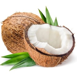 Coconut